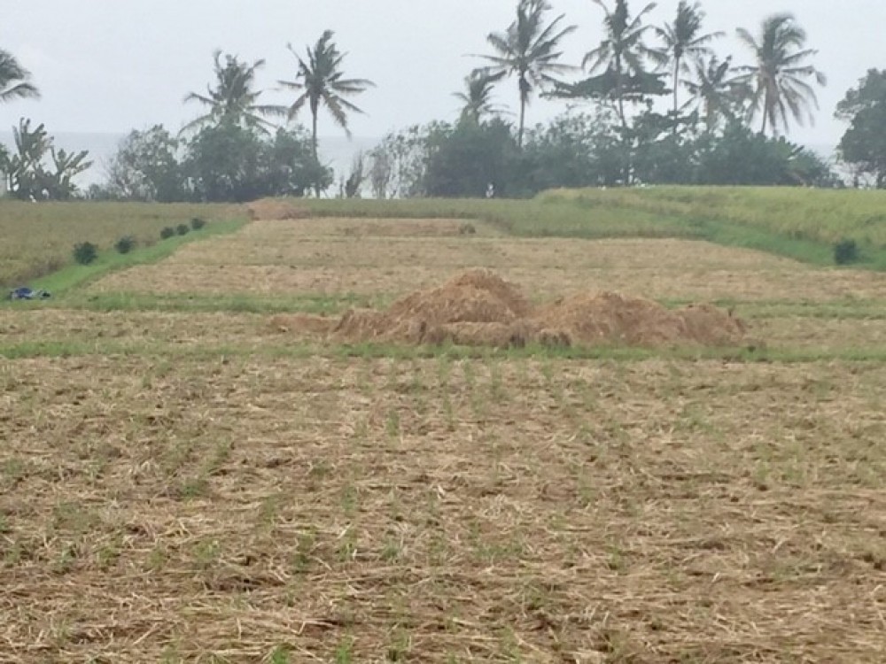 Tanah pinggir pantai yang sangat menakjubkan