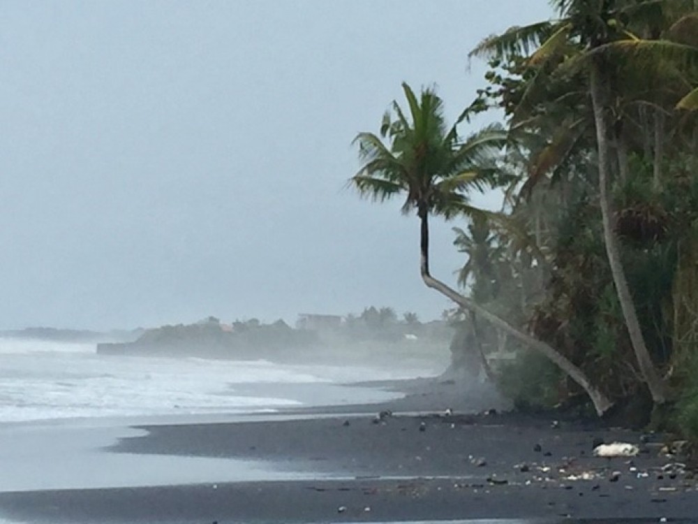 Tanah pinggir pantai yang sangat menakjubkan