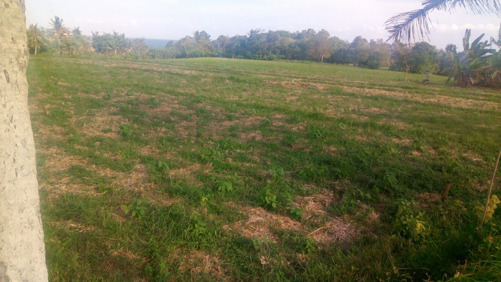 Tanah dengan pemandangan laut yang menakjubkan