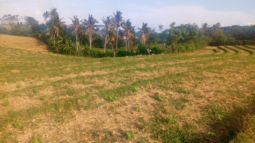 Tanah dengan pemandangan laut yang menakjubkan