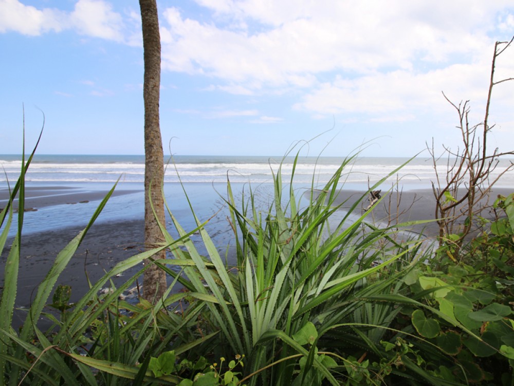 Tanah pinggir pantai yang fantastis di daerah Pasut - Tabanan