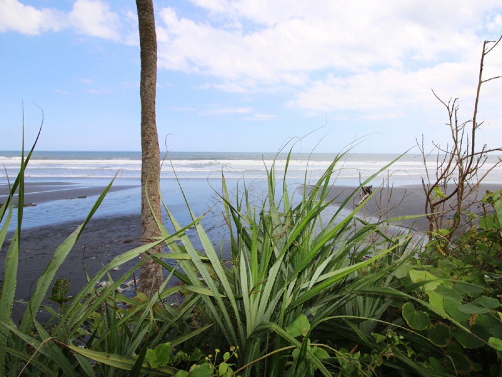 Fantastic beach front land in Pasut Beach - Tabanan