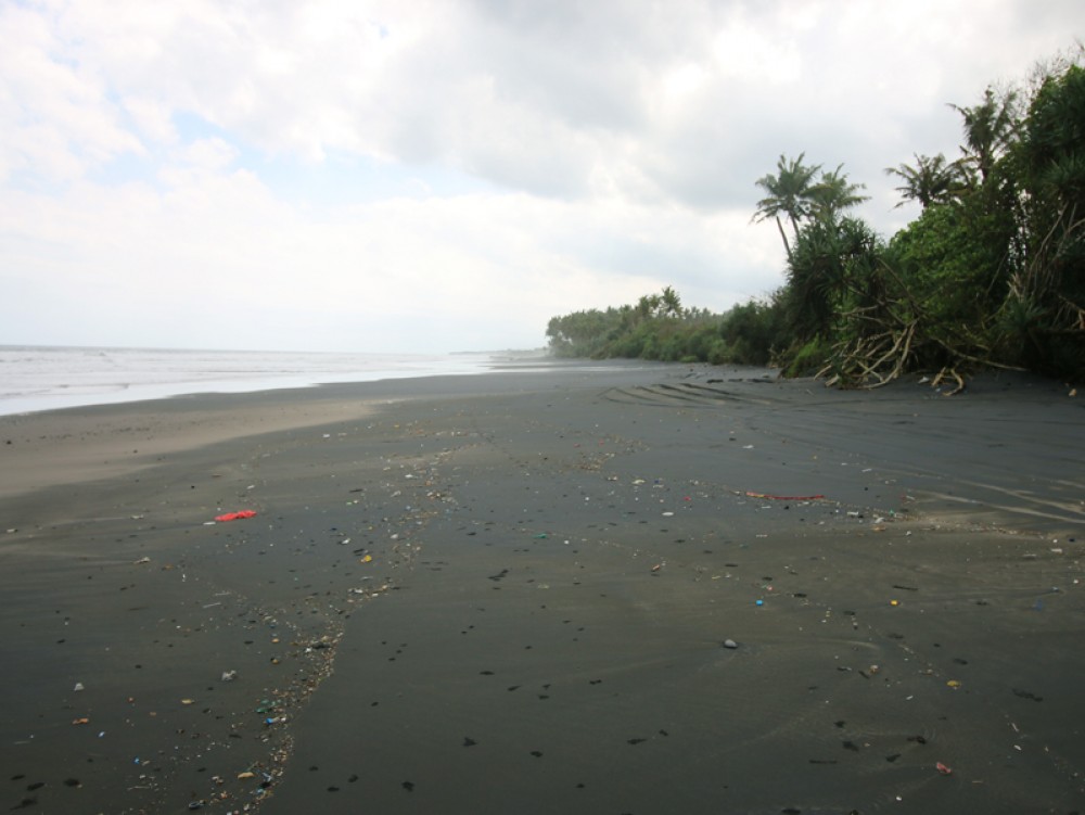 Tanah pinggir pantai yang fantastis di daerah Pasut - Tabanan