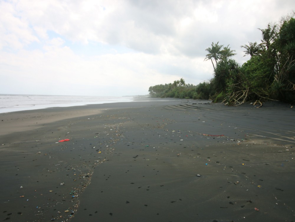 Fantastic beach front land in Pasut Beach - Tabanan