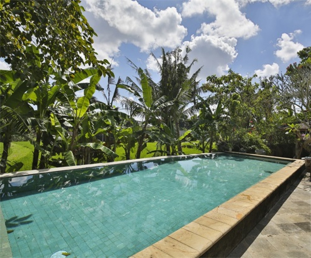 Stunning 4 Bedroom Family Real Estate For Sale In Canggu