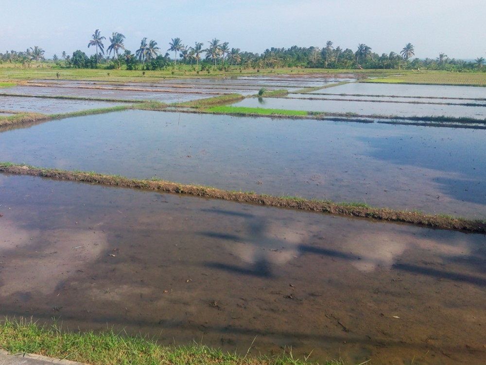 Tanah dengan pemandangan laut yang cantik di Tabanan