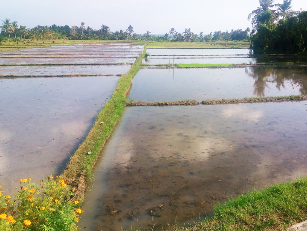 Tanah dengan pemandangan laut yang cantik di Tabanan