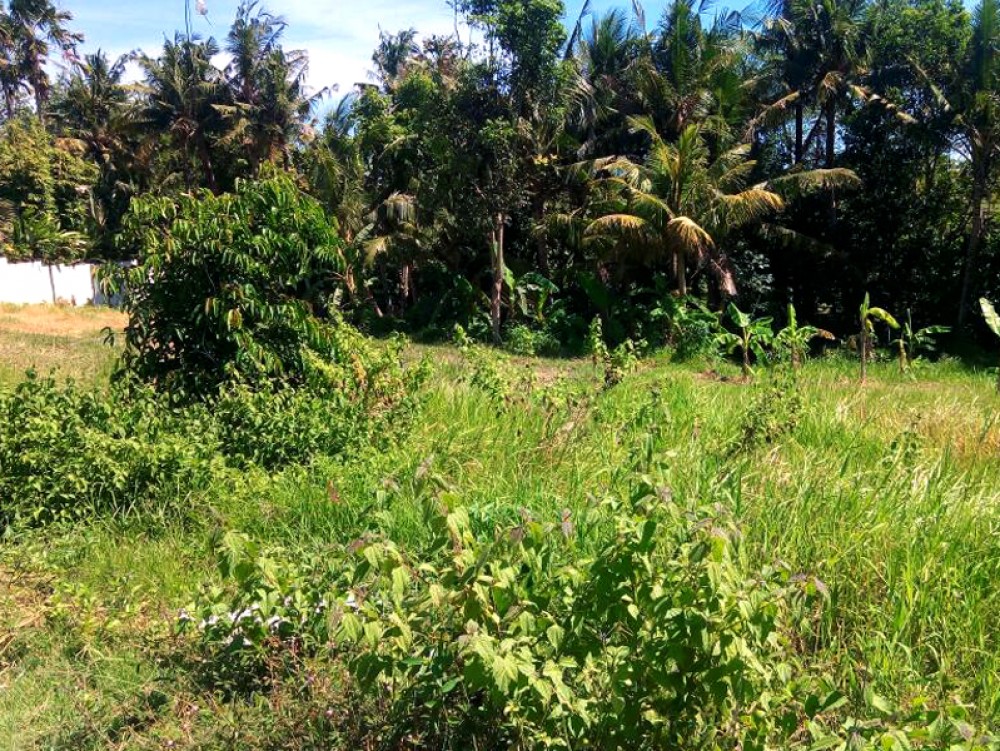 Amazing land in a quiet area of Pererenan