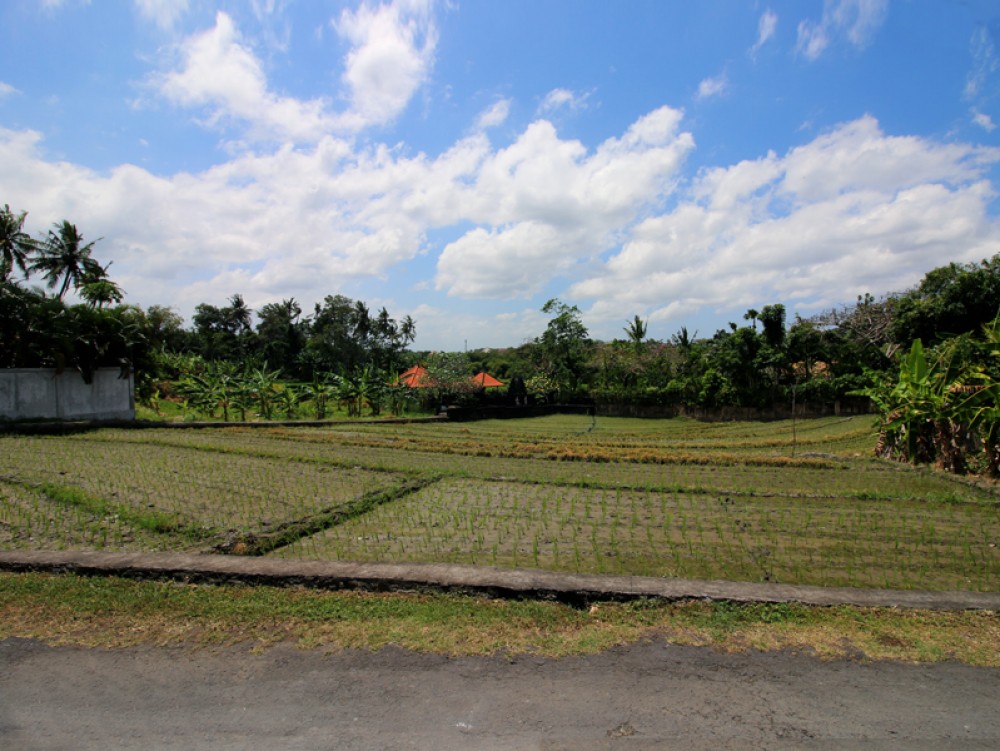 Tanah yang menarik dengan izin hak pakai di Pererenan