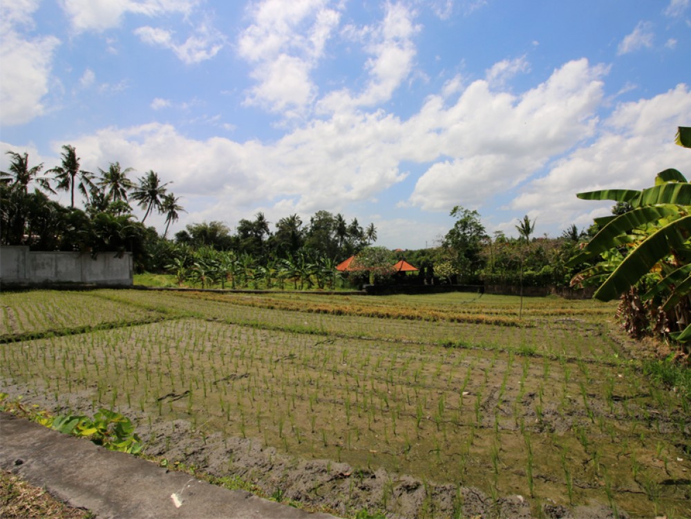 Tanah yang menarik dengan izin hak pakai di Pererenan