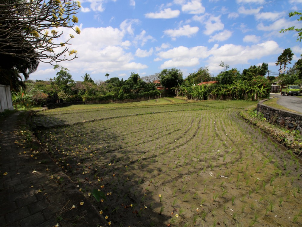 Gorgeous leasehold land in Pererenan