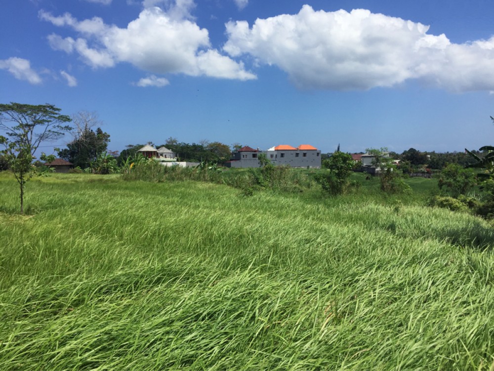 Tanah dengan pemandangan sawah yang fantastis di Pererenan