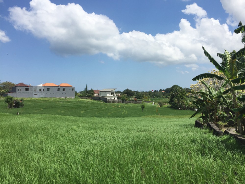 Tanah dengan pemandangan sawah yang fantastis di Pererenan