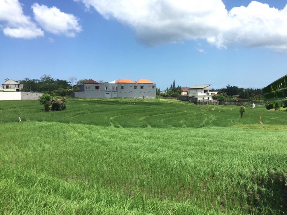 Tanah dengan pemandangan sawah yang fantastis di Pererenan