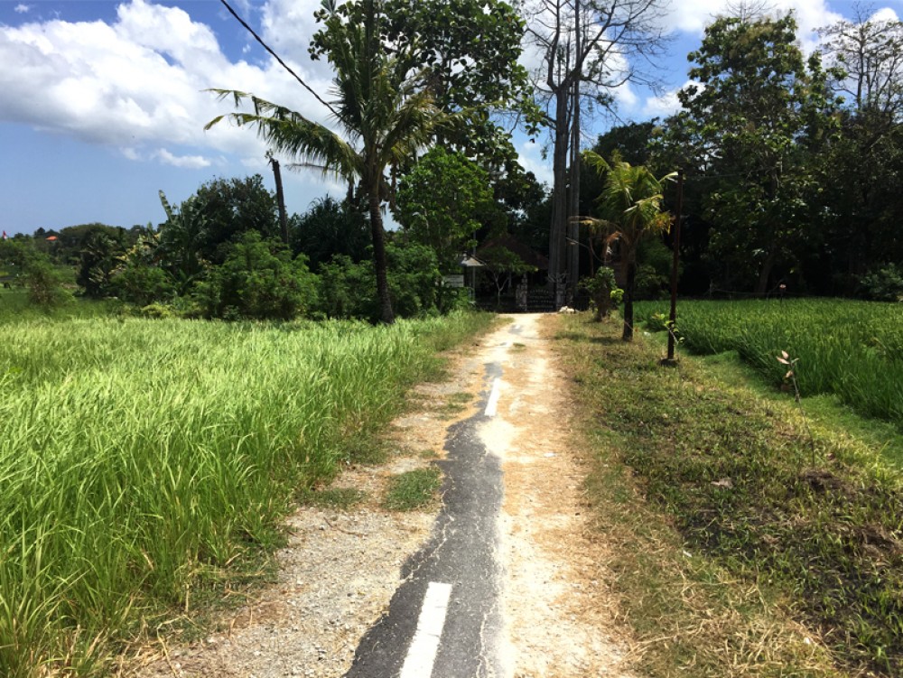 Tanah dengan pemandangan sawah yang fantastis di Pererenan