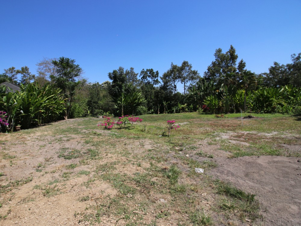 Amazing jungle view freehold land in luxury community