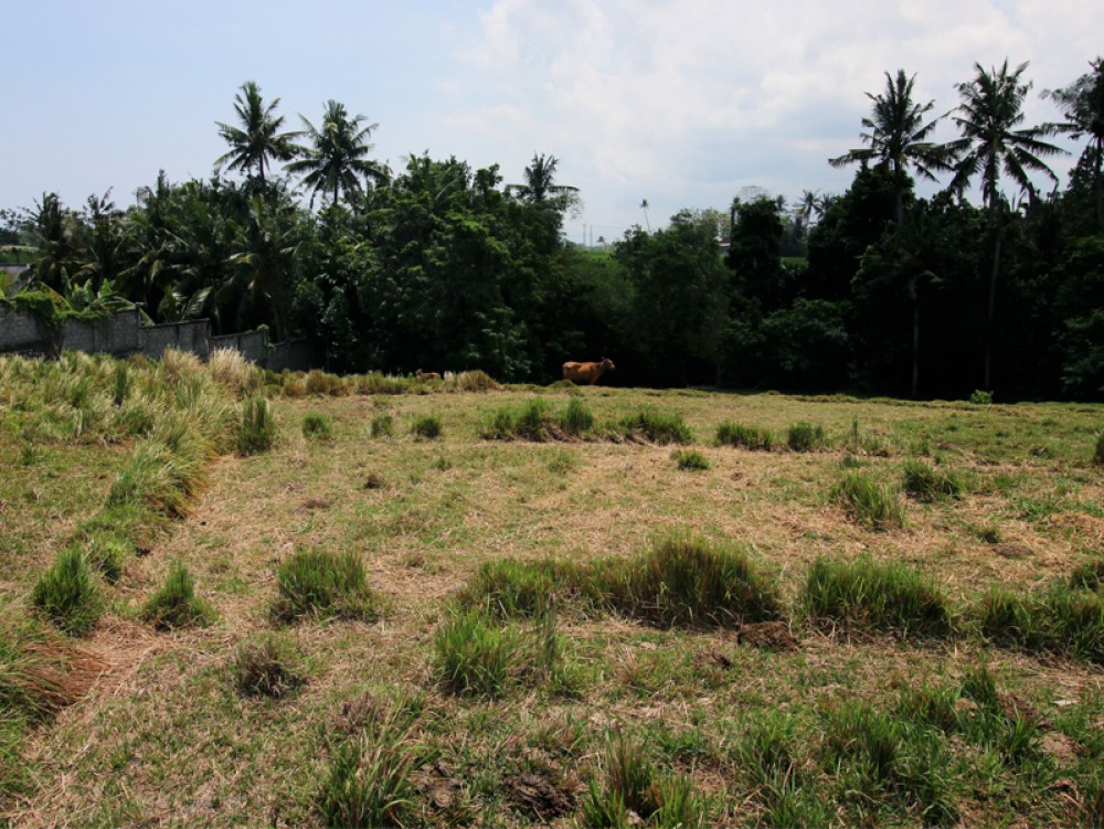 Canggu/Pererenan - Tanah dengan pemandangan sungai yang menakjubkan, hanya 300 meter dari pantai