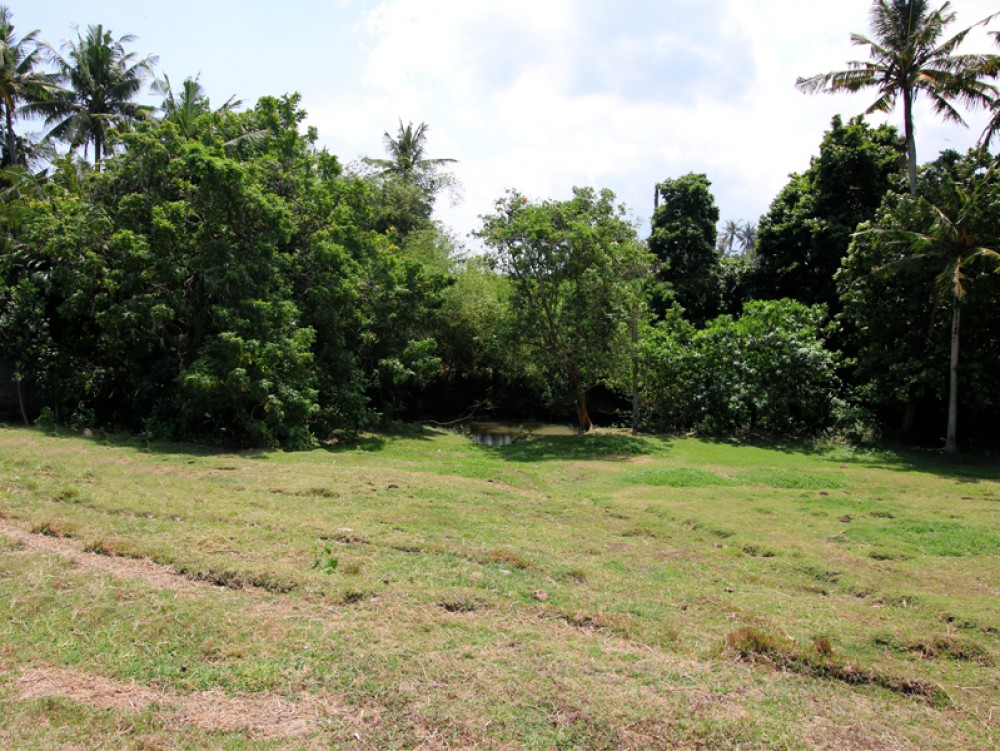 Canggu/Pererenan - Amazing river view land 300 meters from the beach