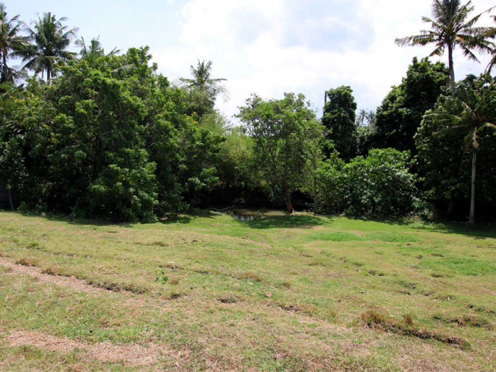 Canggu/Pererenan - Tanah dengan pemandangan sungai yang menakjubkan, hanya 300 meter dari pantai