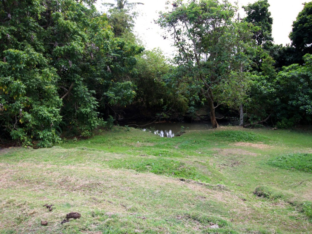 Canggu/Pererenan - Tanah dengan pemandangan sungai yang menakjubkan, hanya 300 meter dari pantai