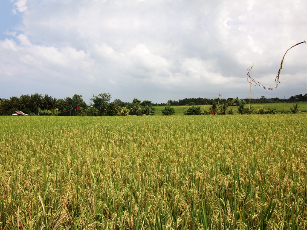 Gorgeous Land In Prime area of Tanah Lot