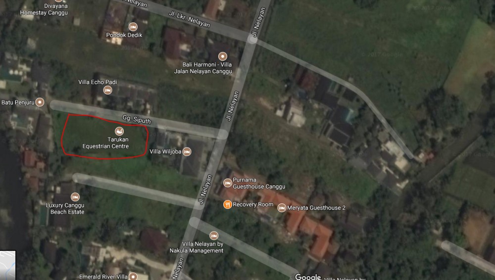 Prime Location 20 Are Land for Sale in Canggu Area