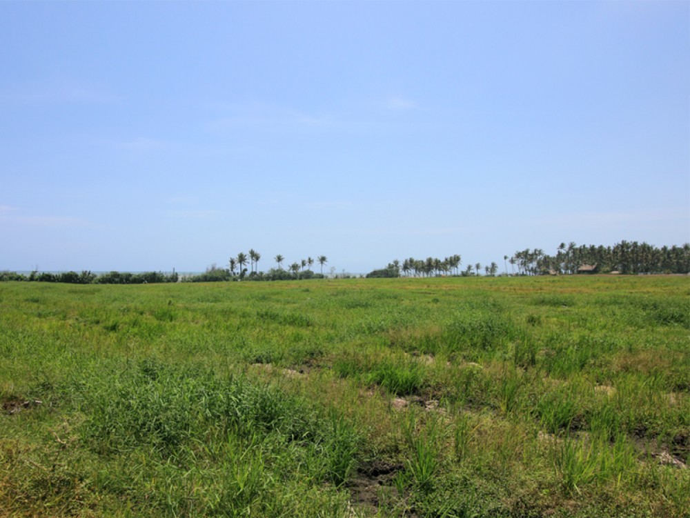 Gorgeous and affordable Beach front land