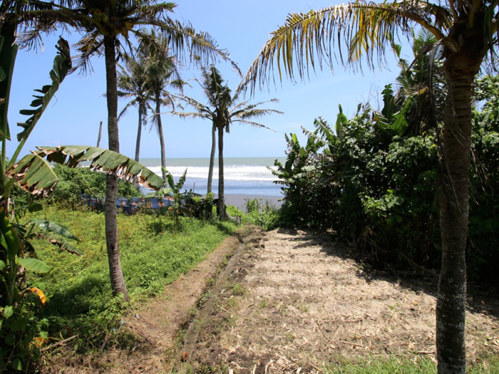 Tanah depan pantai yang indah dan murah di Pantai Pasut - Tabanan