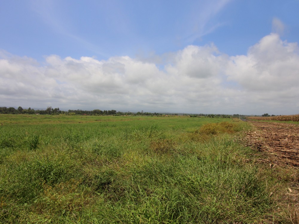 Gorgeous and affordable Beach front land