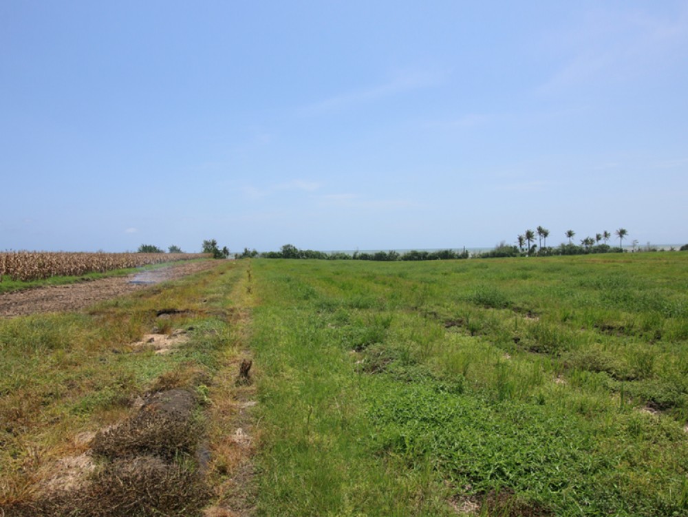 Tanah depan pantai yang indah dan murah