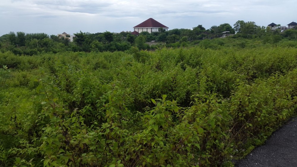 16 Are Land for Sale in Ungasan Area