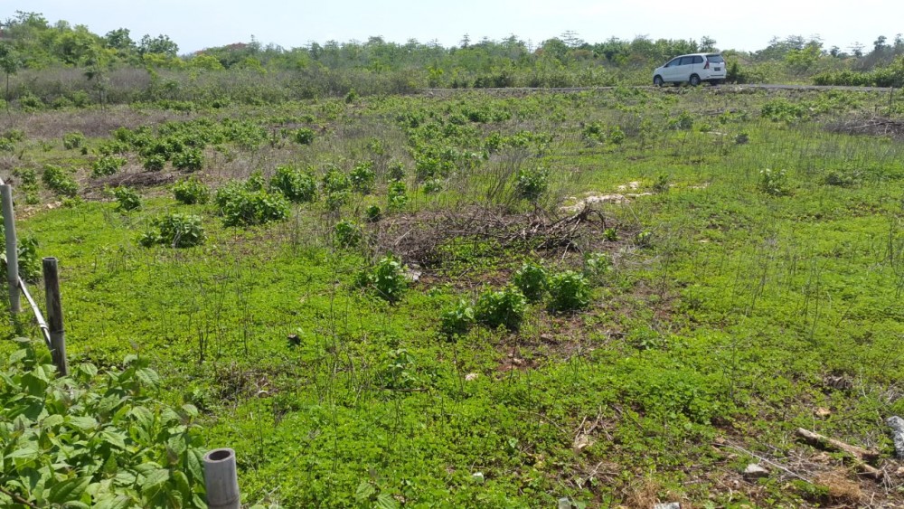 16 Are Land for Sale in Ungasan Area
