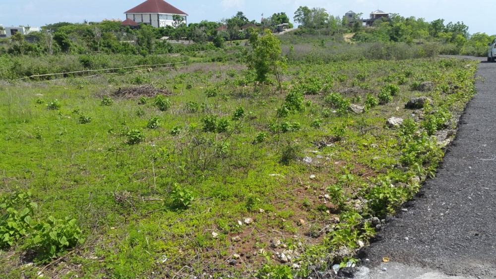 16 Are Land for Sale in Ungasan Area