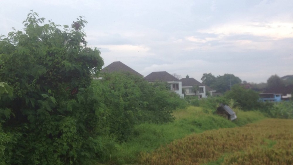 Quite Location 34 Are Land for Sale in Canggu