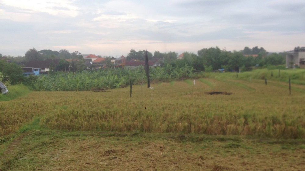 Quite Location 34 Are Land for Sale in Canggu