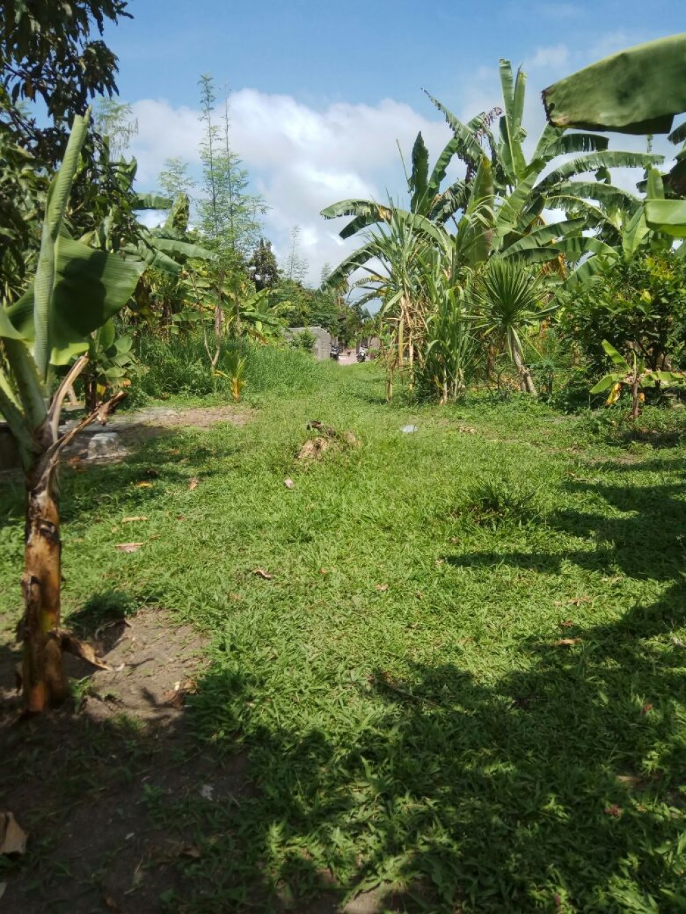 Rice Paddy View 13 sont parfaits pour la villa