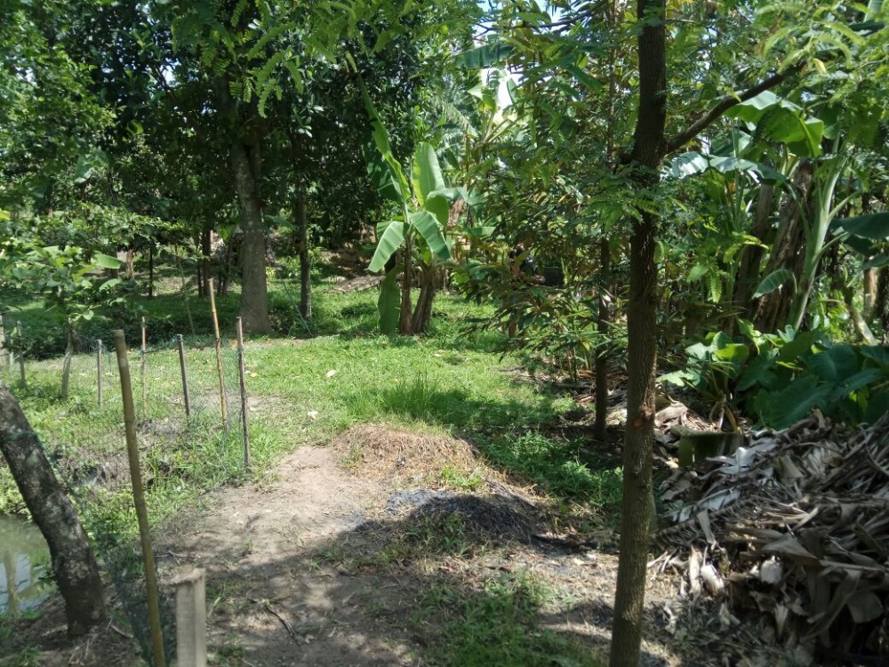 Rice Paddy View 13 Are Perfect for Villa