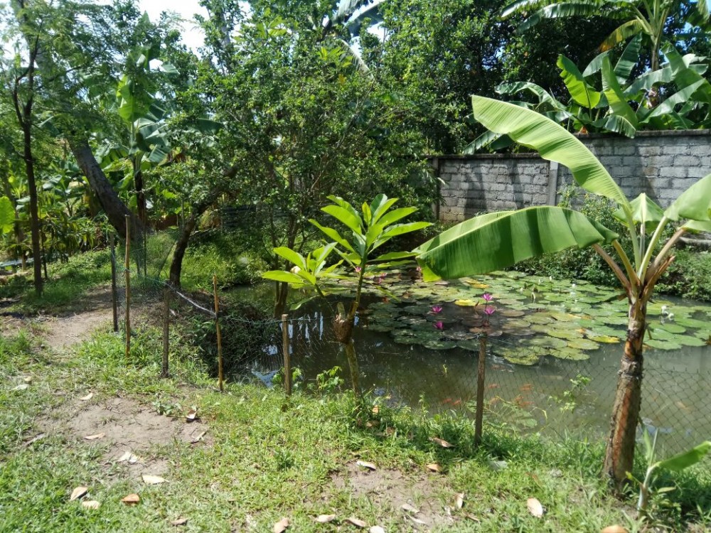 Rice Paddy View 13 sont parfaits pour la villa