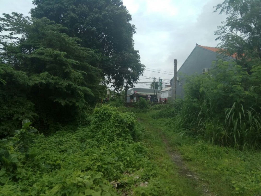 Freehold Land 52 Are Batu Bolong Perfect for Development