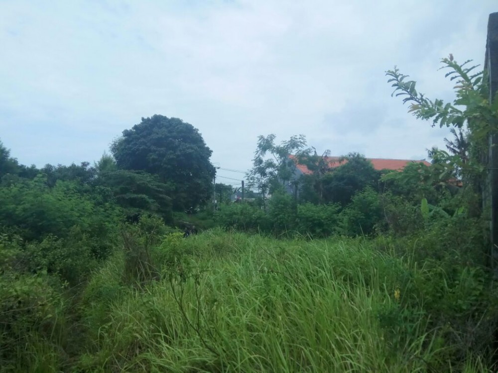 Freehold Land 52 Are Batu Bolong Perfect for Development