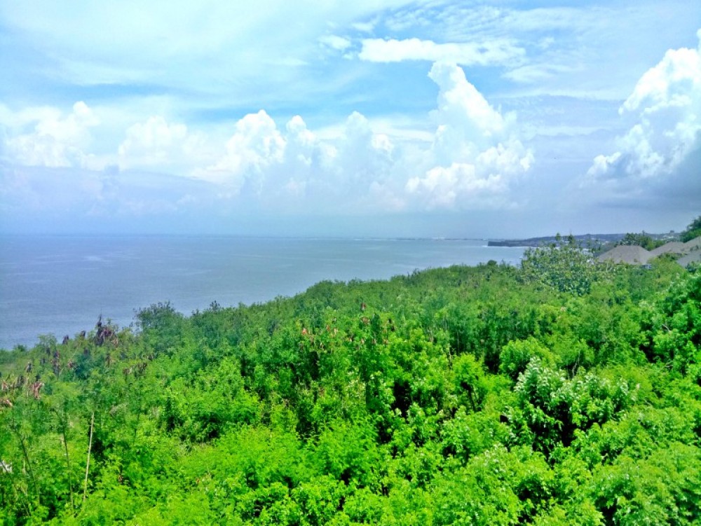 Magnificent Ocean View Land for sale 53 are