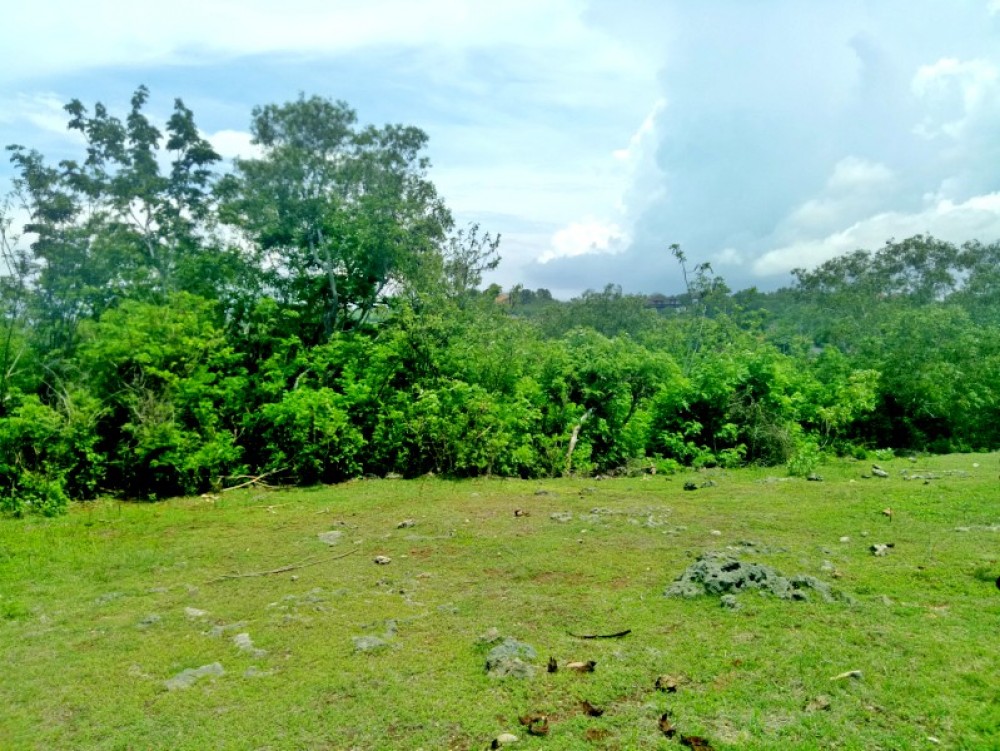 Magnificent Ocean View Land for sale 53 are