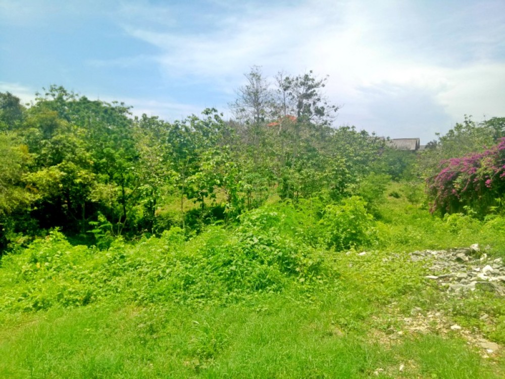 Magnificent Ocean View Land for sale 53 are