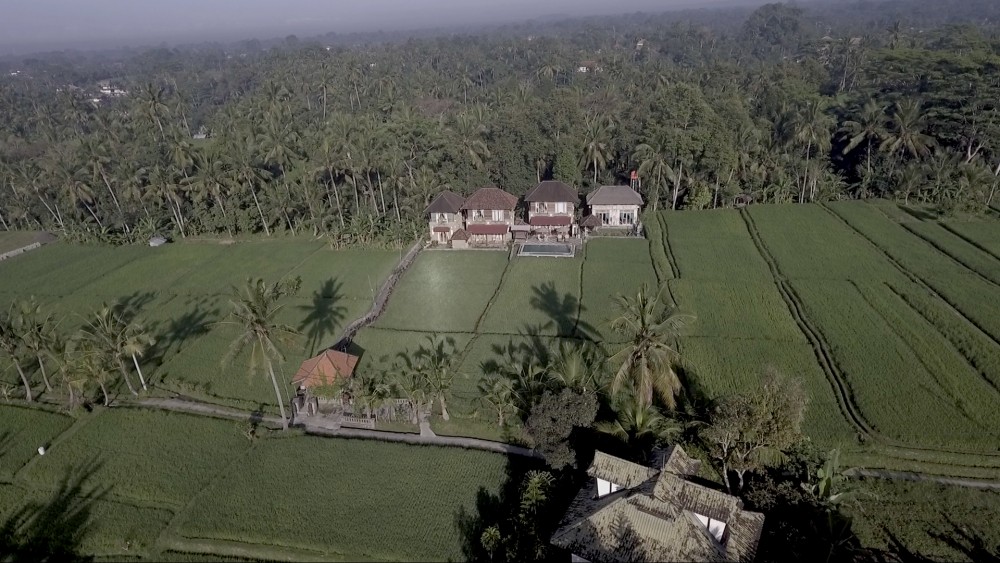 MENIKMATI VILLA WONDERFUL PADI FIELD VIEW