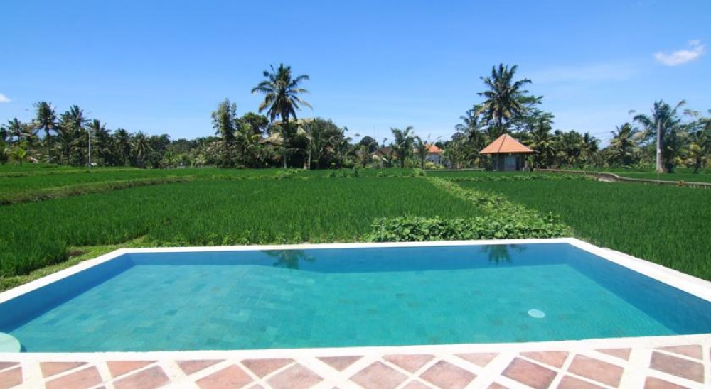 MENIKMATI VILLA WONDERFUL PADI FIELD VIEW