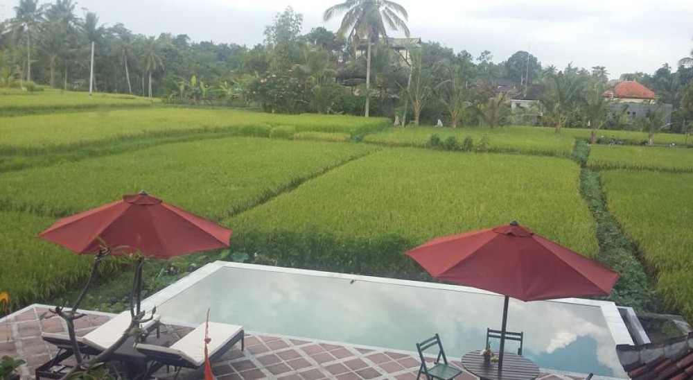 MENIKMATI VILLA WONDERFUL PADI FIELD VIEW