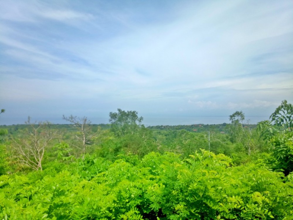 Luxurious Five Bedrooms Freehold Villa for Sale in Canggu