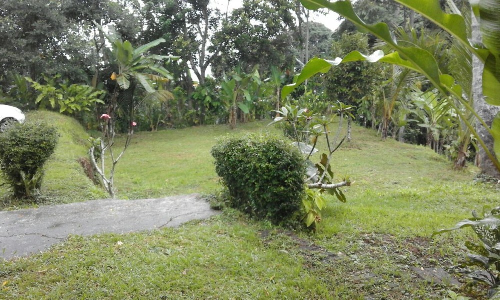 Spacious Freehold land for Sale in Payangan