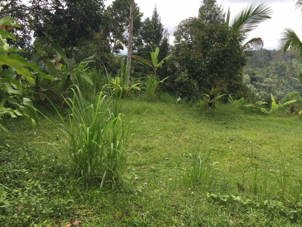 Spacious Freehold land for Sale in Payangan