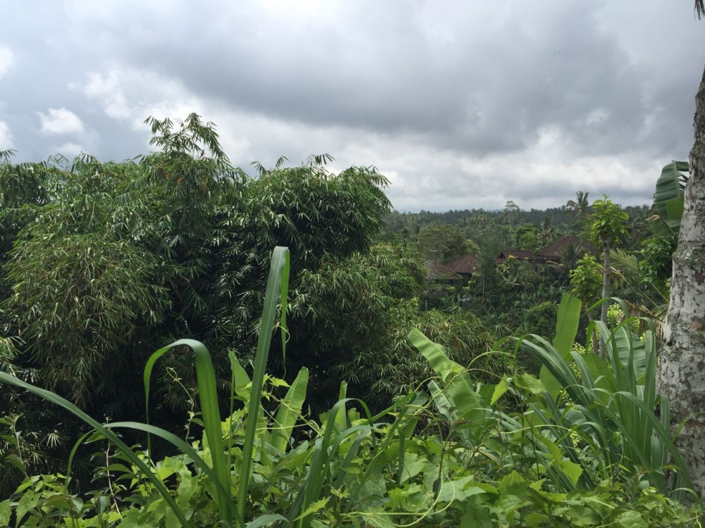 Spacious Freehold land for Sale in Payangan